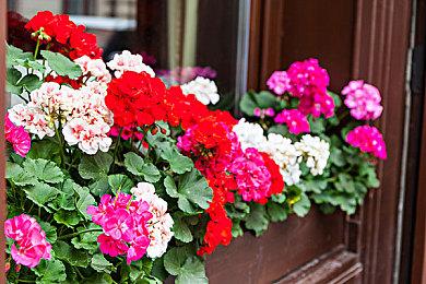 经典乙女游戏《命运九重奏-NORN9 LOFN-》公开预购及限定特典！