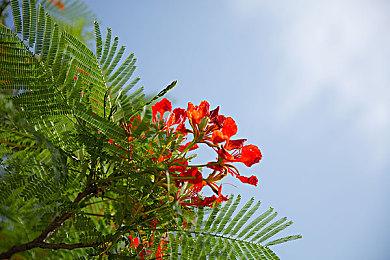 《星空》PC版优化堪忧 3060显卡1080P低画质未能稳定60FPS